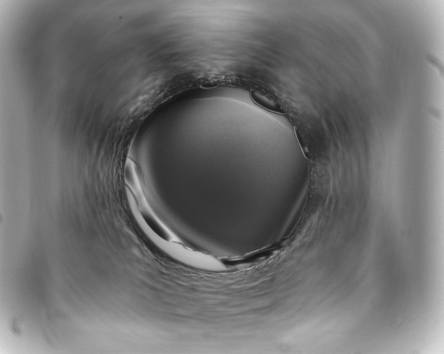 X0000095530039200712281531