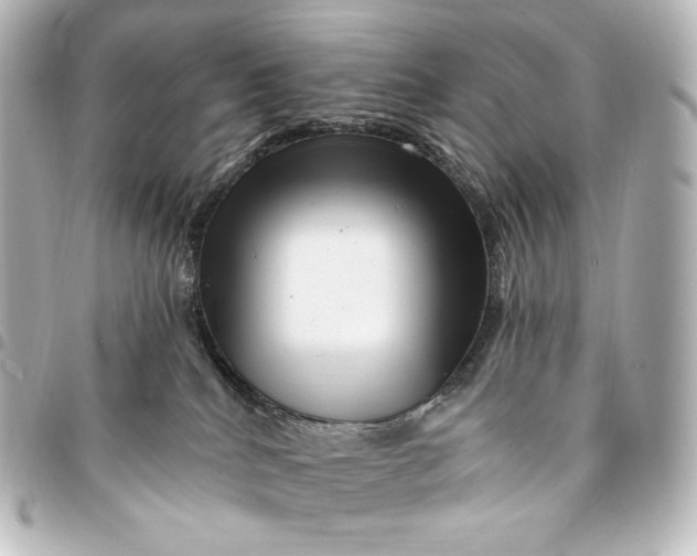 X0000095530040200712281531