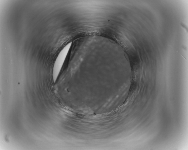 X0000095530041200712281531