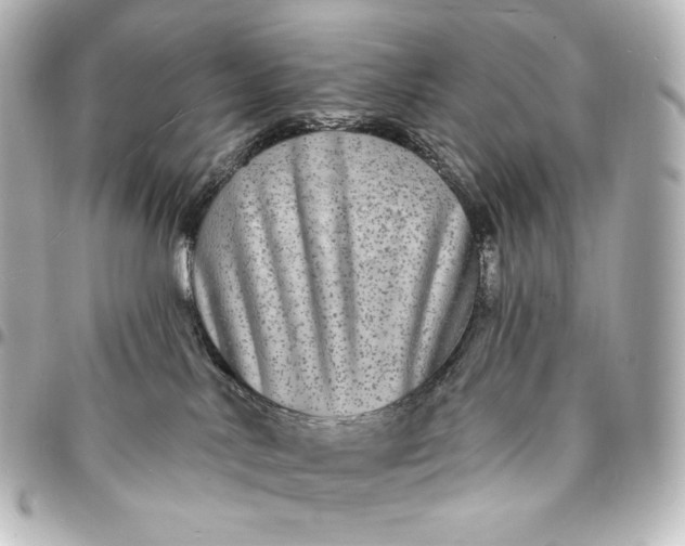 X0000095530042200712281531