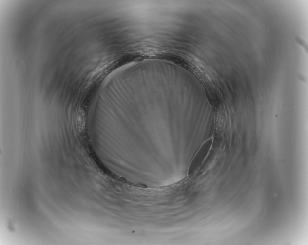 X0000095530043200712281531