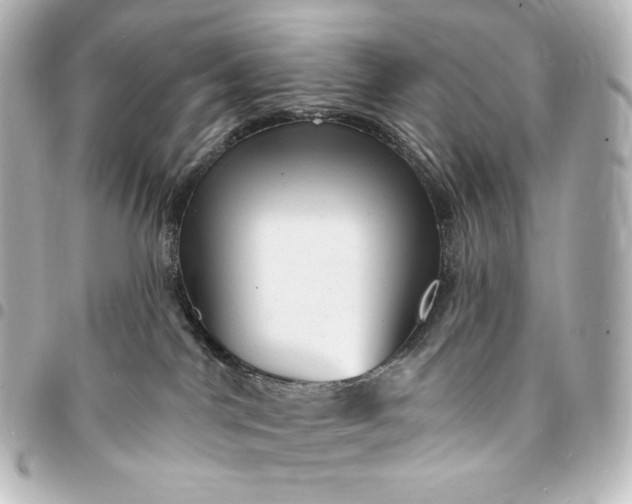 X0000095530044200712281531