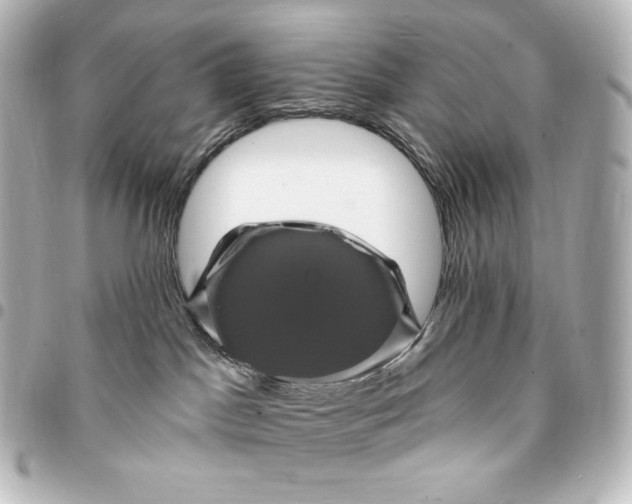 X0000095530045200712281531