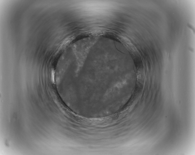 X0000095530046200712281531