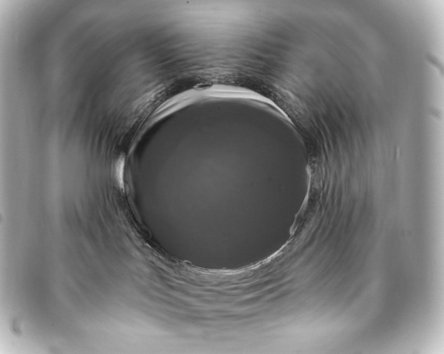 X0000095530047200712281531