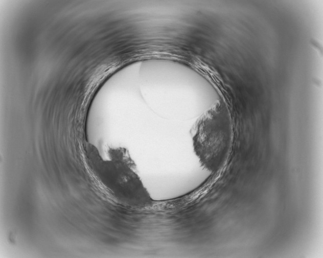 X0000095530049200712281530