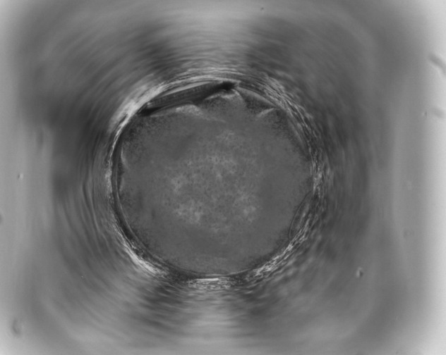 X0000095530050200712281530