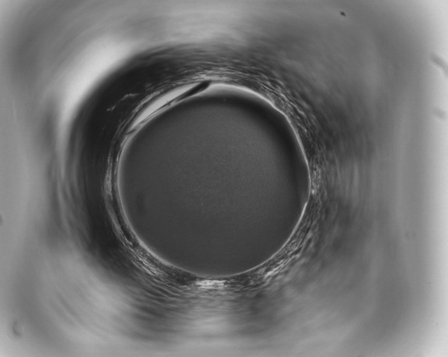 X0000095530052200712281531