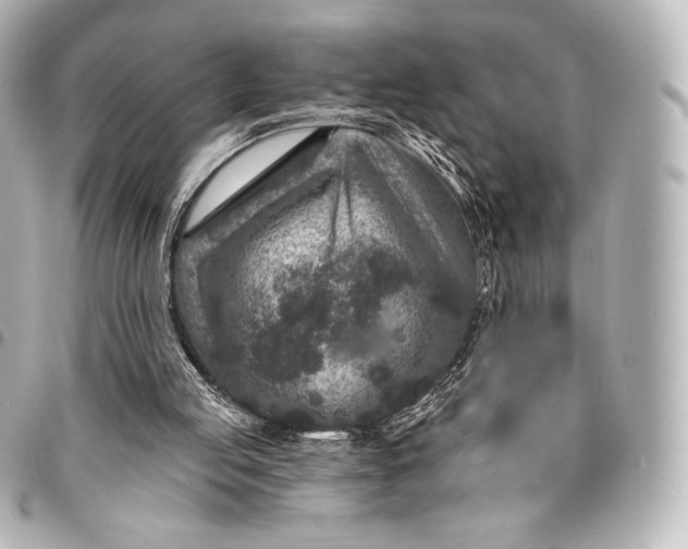 X0000095530053200712281531