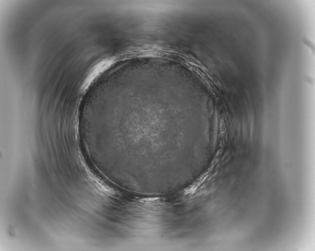 X0000095530054200712281531