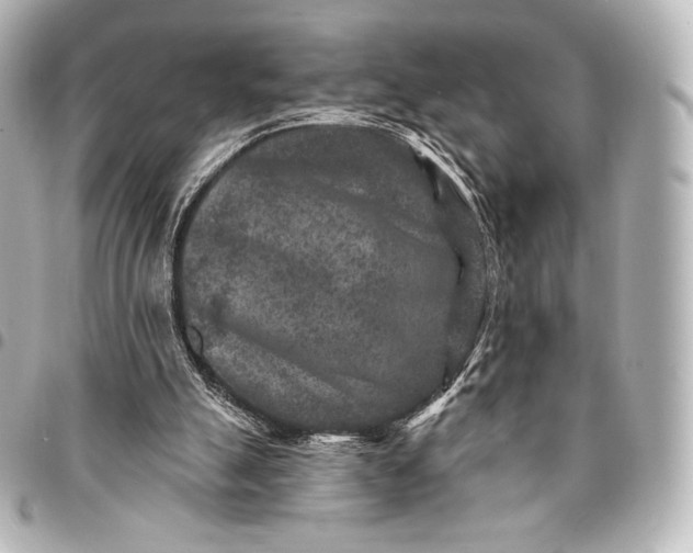 X0000095530055200712281531