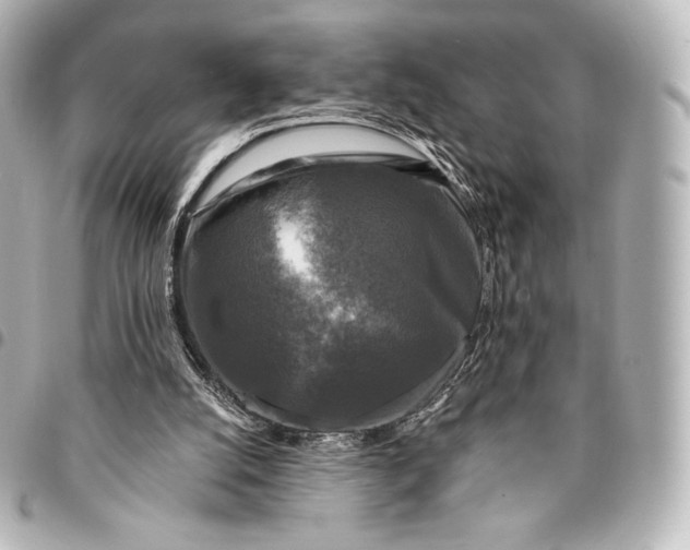 X0000095530056200712281531