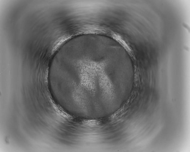 X0000095530058200712281531