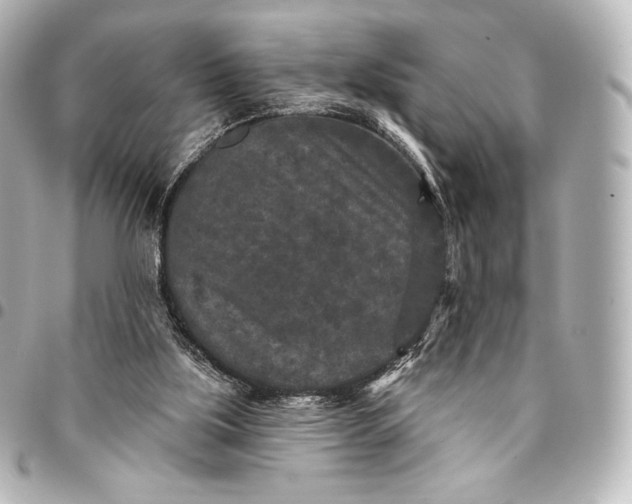 X0000095530059200712281531