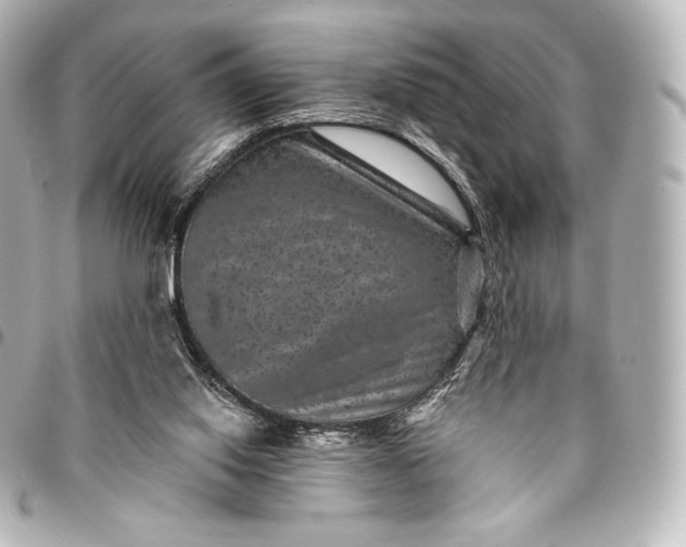 X0000095530062200712281531