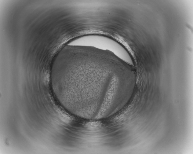 X0000095530063200712281531