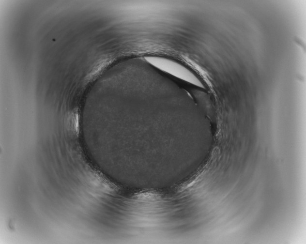 X0000095530067200712281531