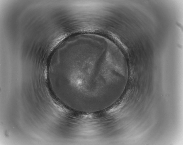 X0000095530068200712281531