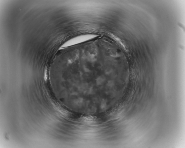 X0000095530069200712281531