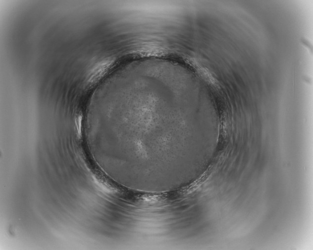 X0000095530070200712281531