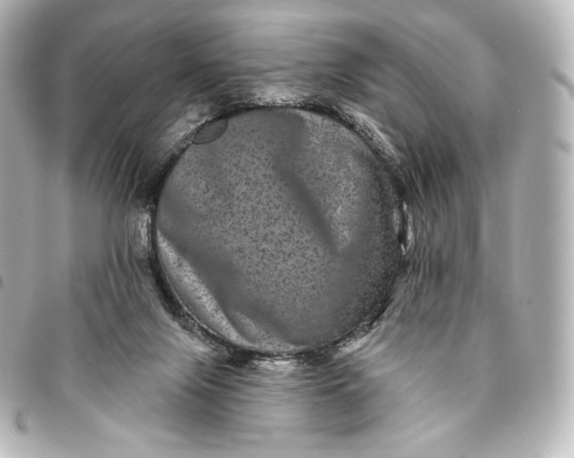 X0000095530071200712281531