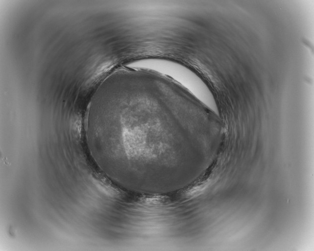 X0000095530072200712281531