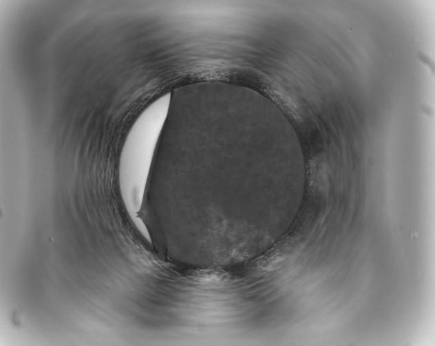 X0000095530073200712281531