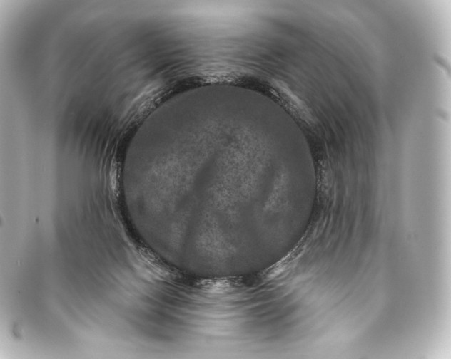 X0000095530074200712281531