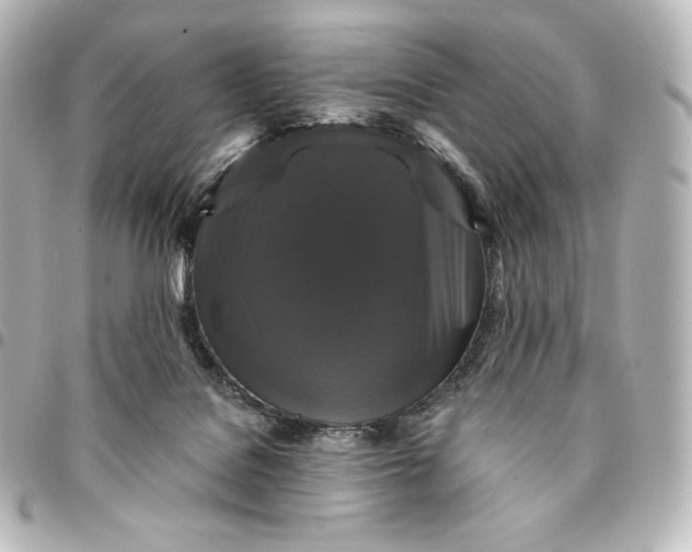 X0000095530076200712281531