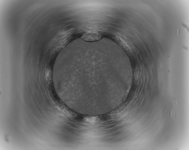 X0000095530079200712281531