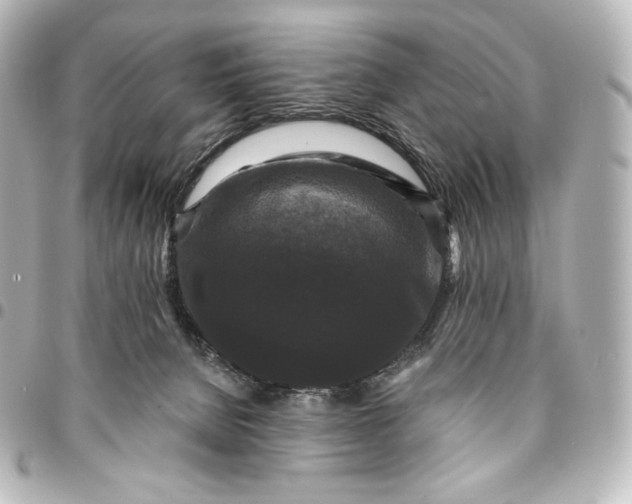 X0000095530080200712281531