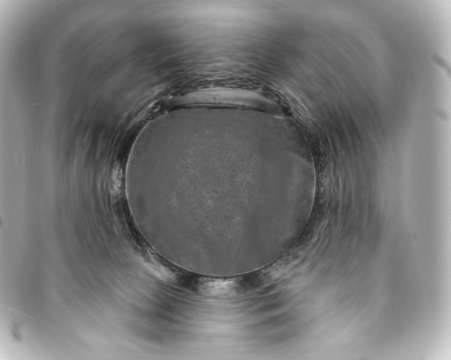 X0000095530081200712281531