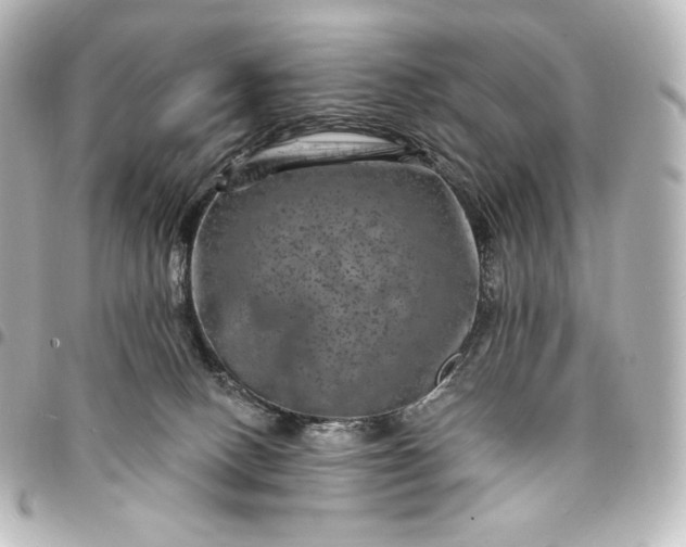 X0000095530082200712281531