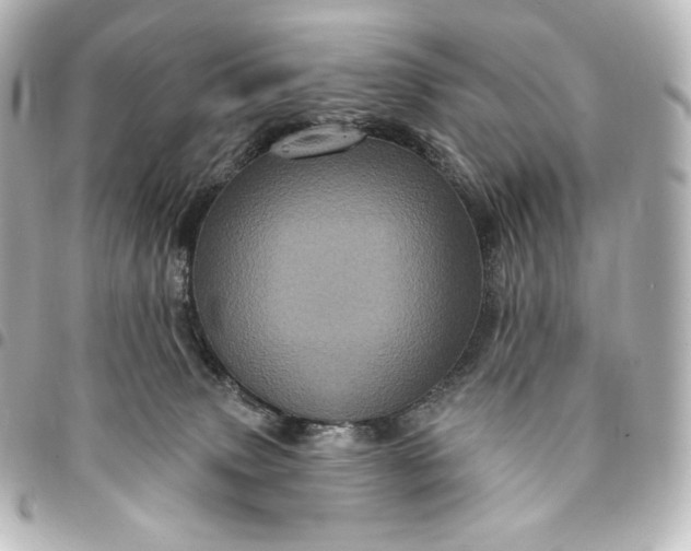 X0000095530083200712281531