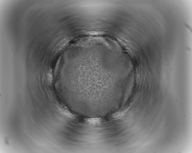 X0000095530085200712281531