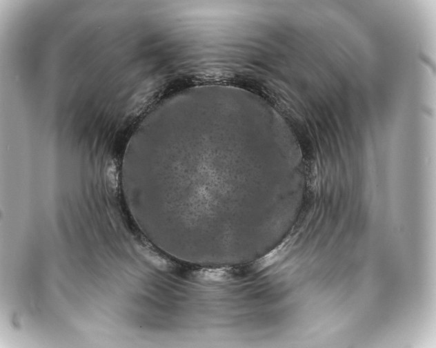 X0000095530086200712281531