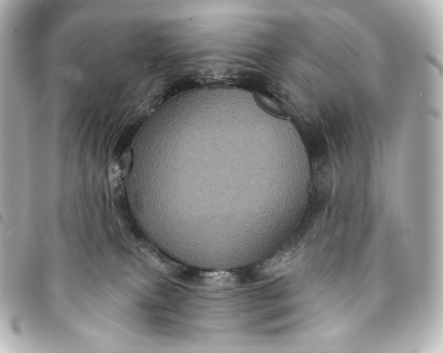 X0000095530087200712281531