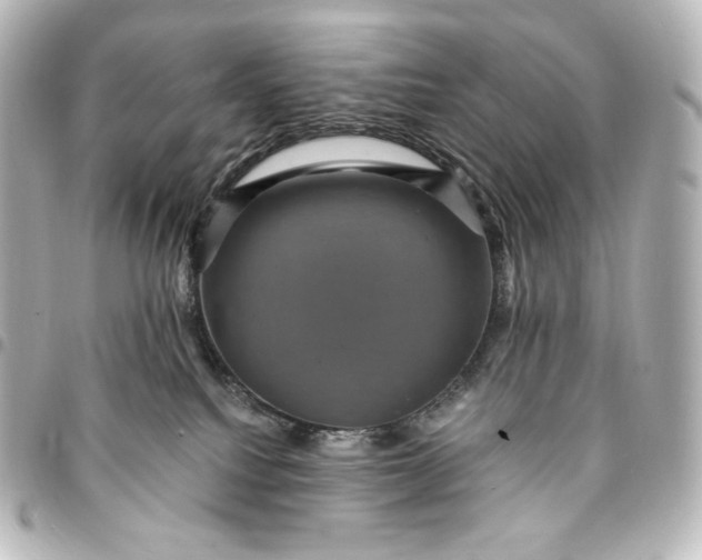 X0000095530088200712281531