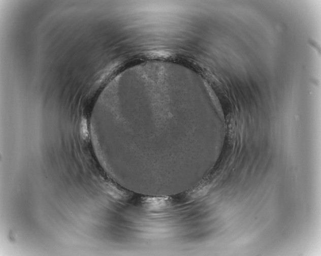 X0000095530089200712281531