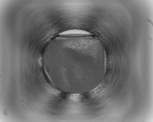 X0000095530090200712281531