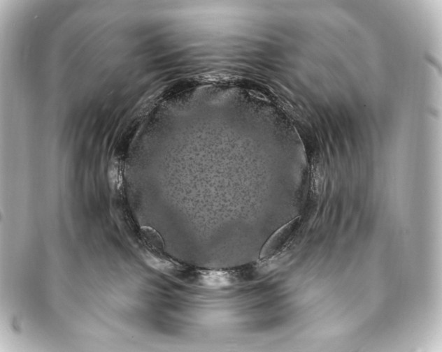 X0000095530091200712281531