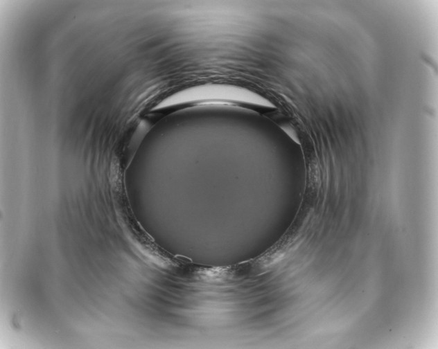 X0000095530092200712281531