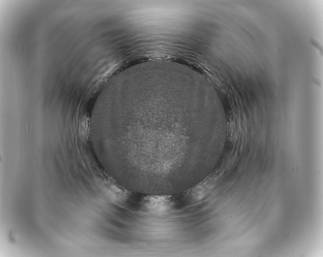 X0000095530093200712281531