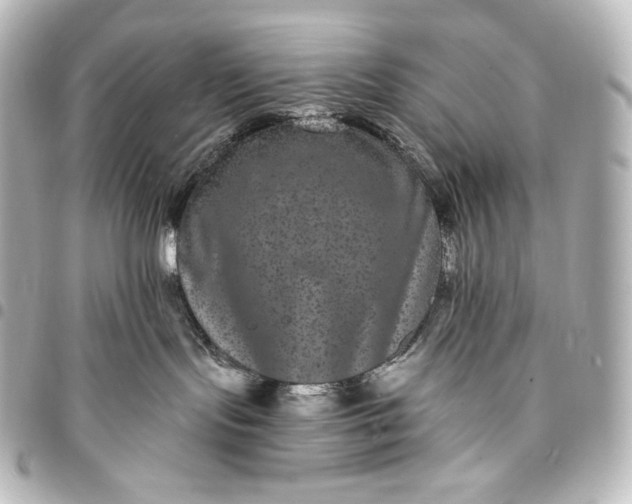 X0000095530095200712281531