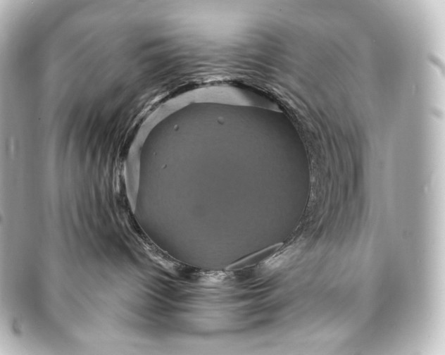 X0000095530096200712281531