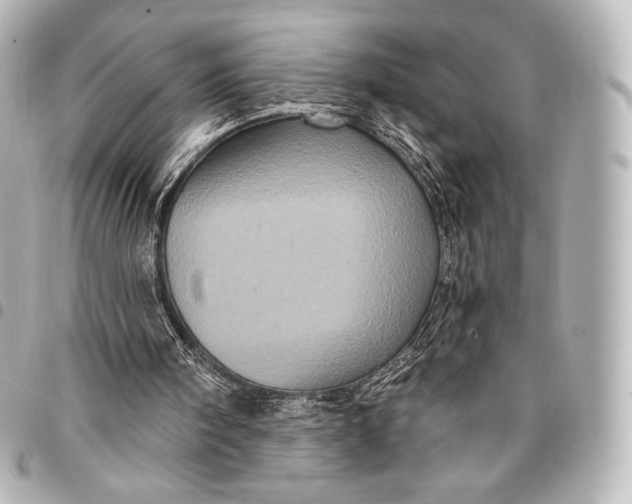 X0000095530098200712281530