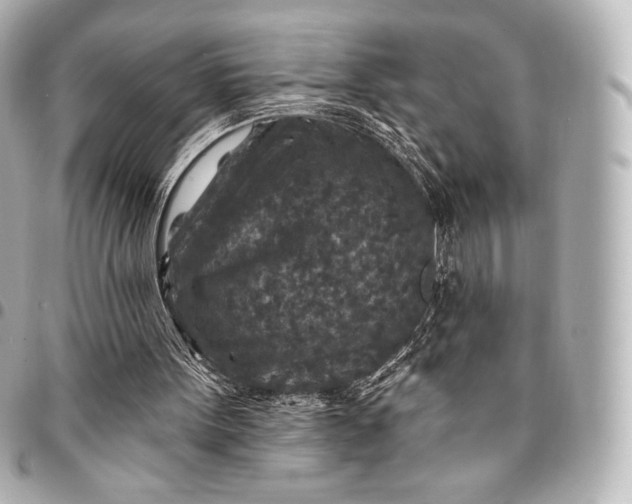 X0000095530099200712281530