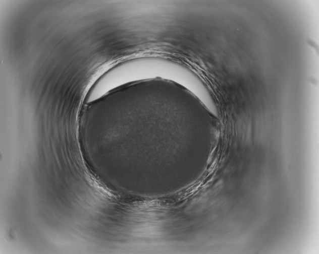 X0000095530100200712281530