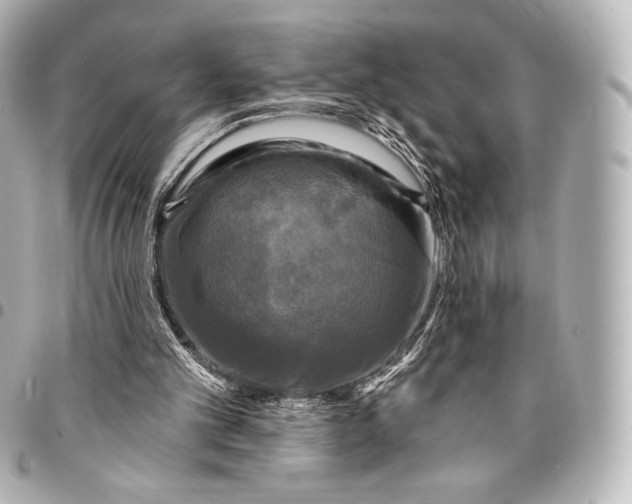 X0000095530101200712281530