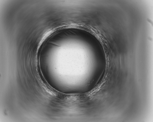 X0000095530102200712281530